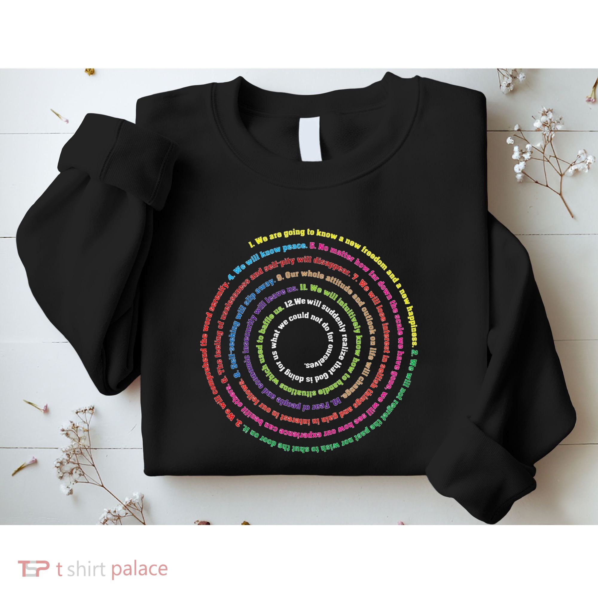Aa 12 Step Recovery Definition Of Insanity Sweatshirt