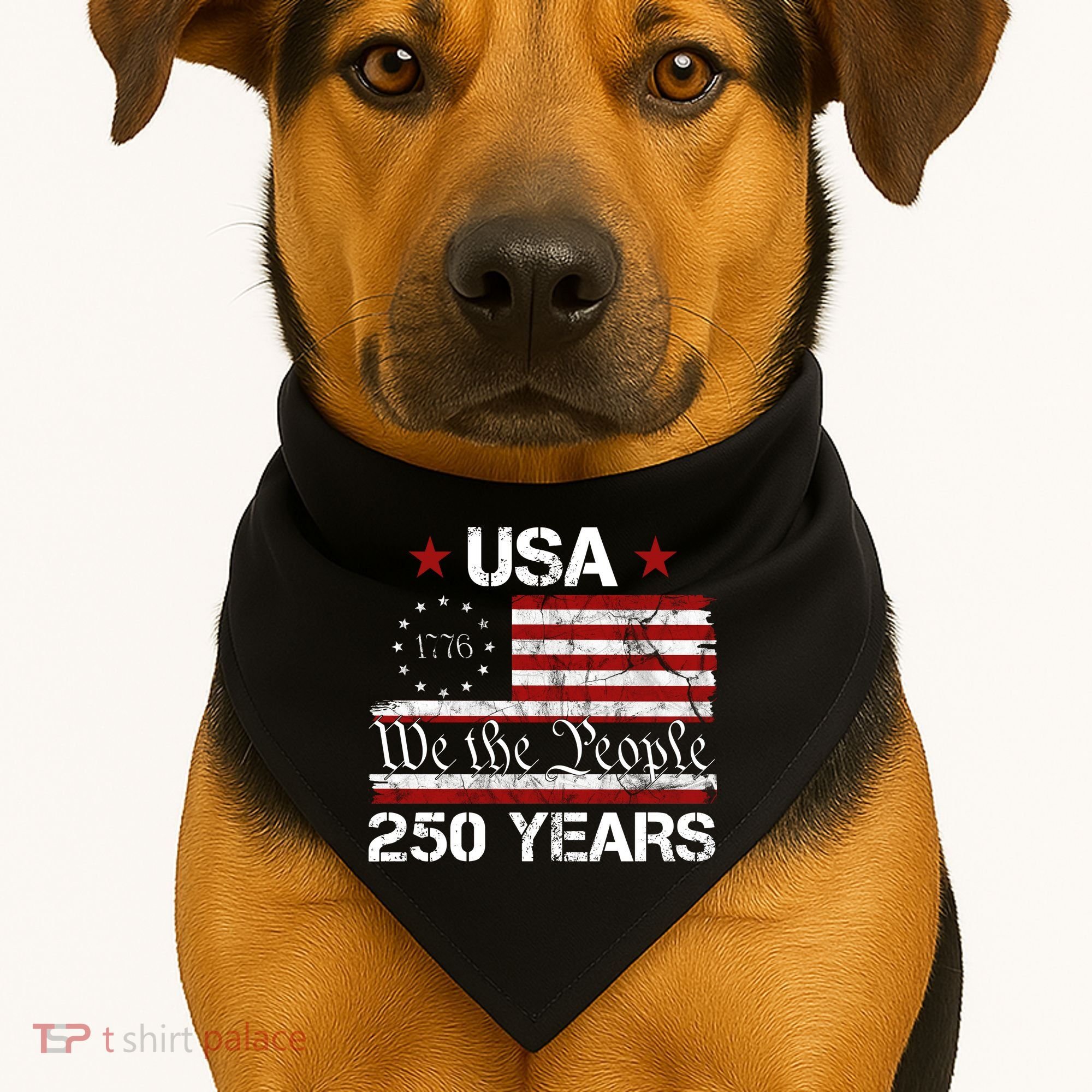 America 250th Anniversary 1776-2026 We The People 250 Years USA-Made Doggie Bandana