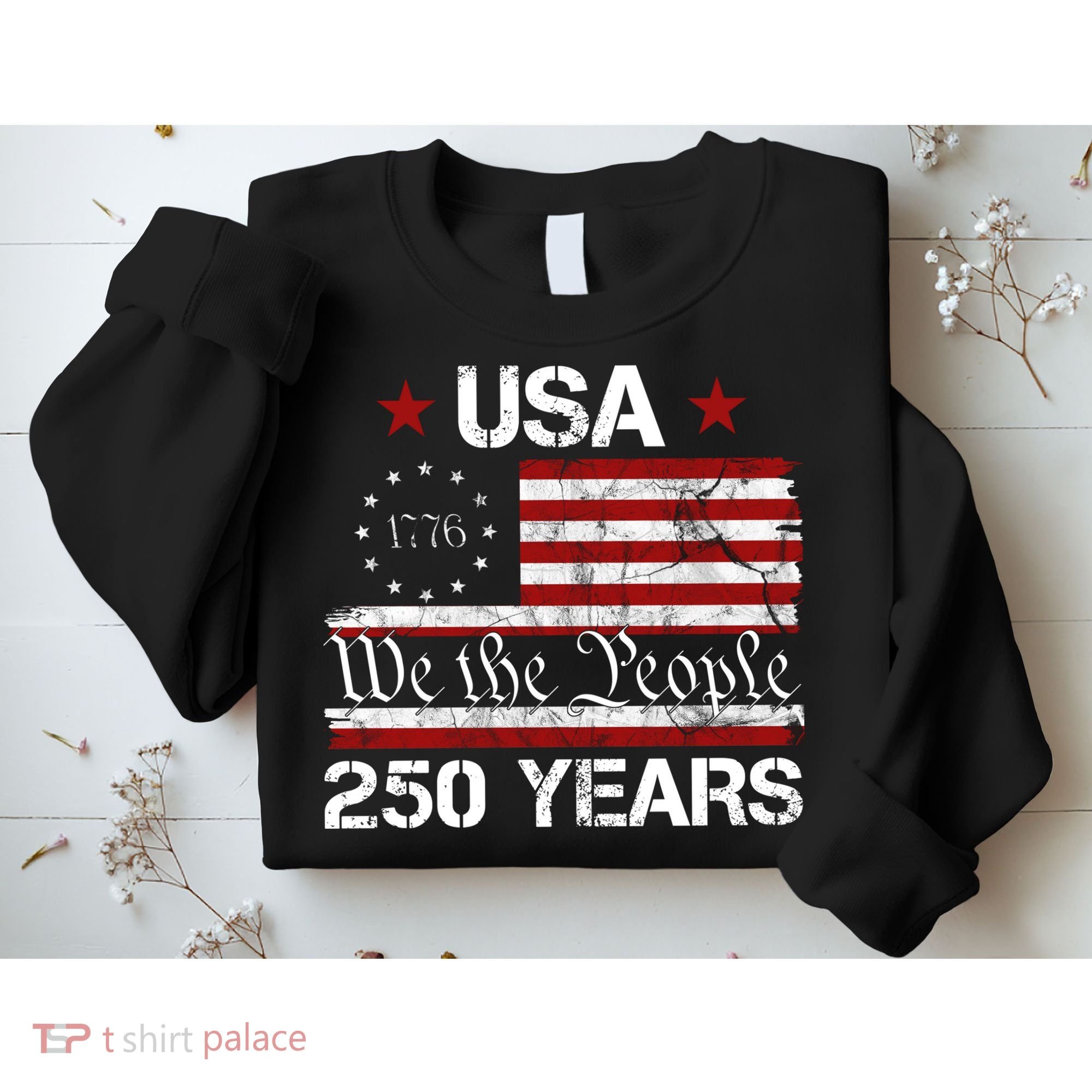 America 250th Anniversary 1776-2026 We The People 250 Years Sweatshirt