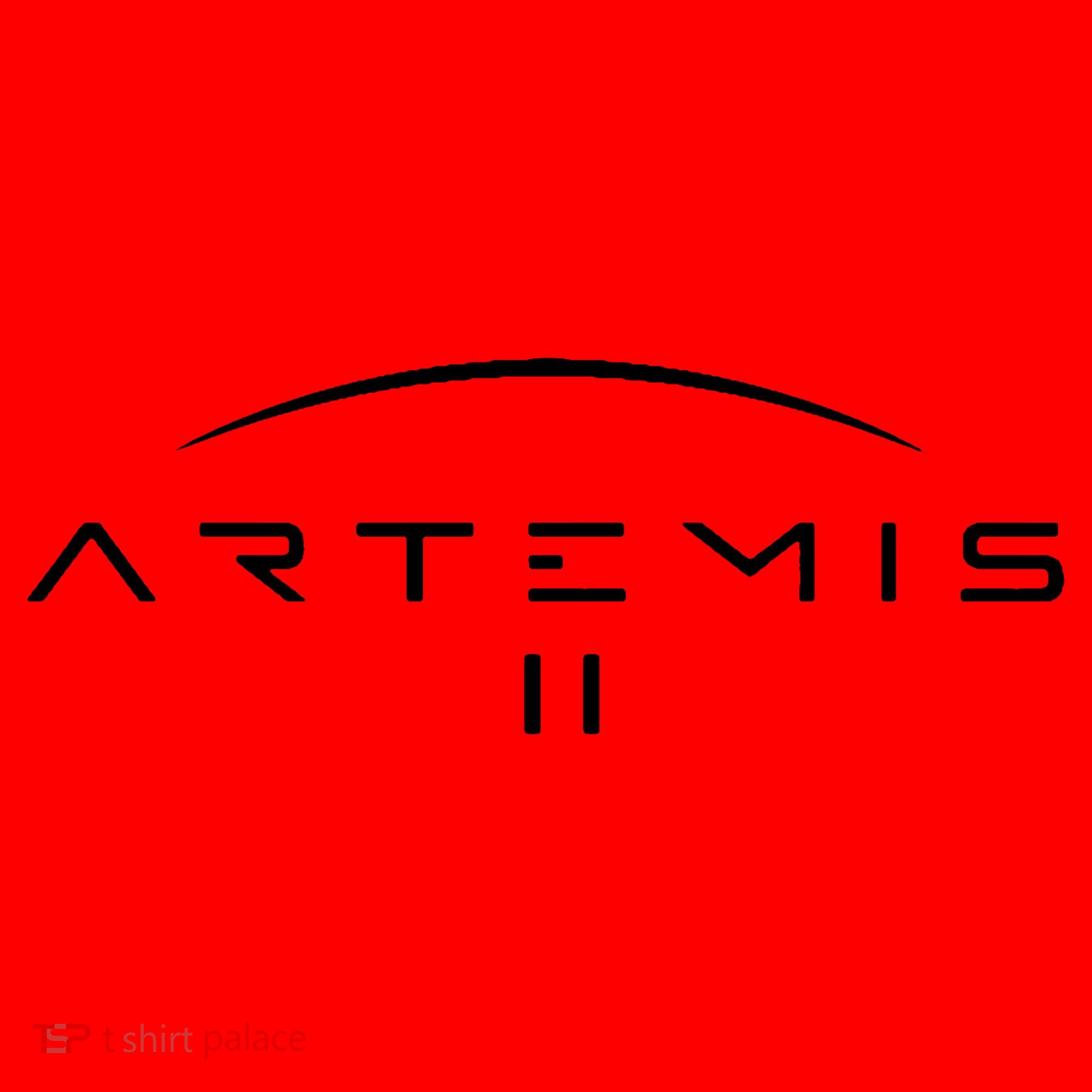 Artemis 2 Santa Hat