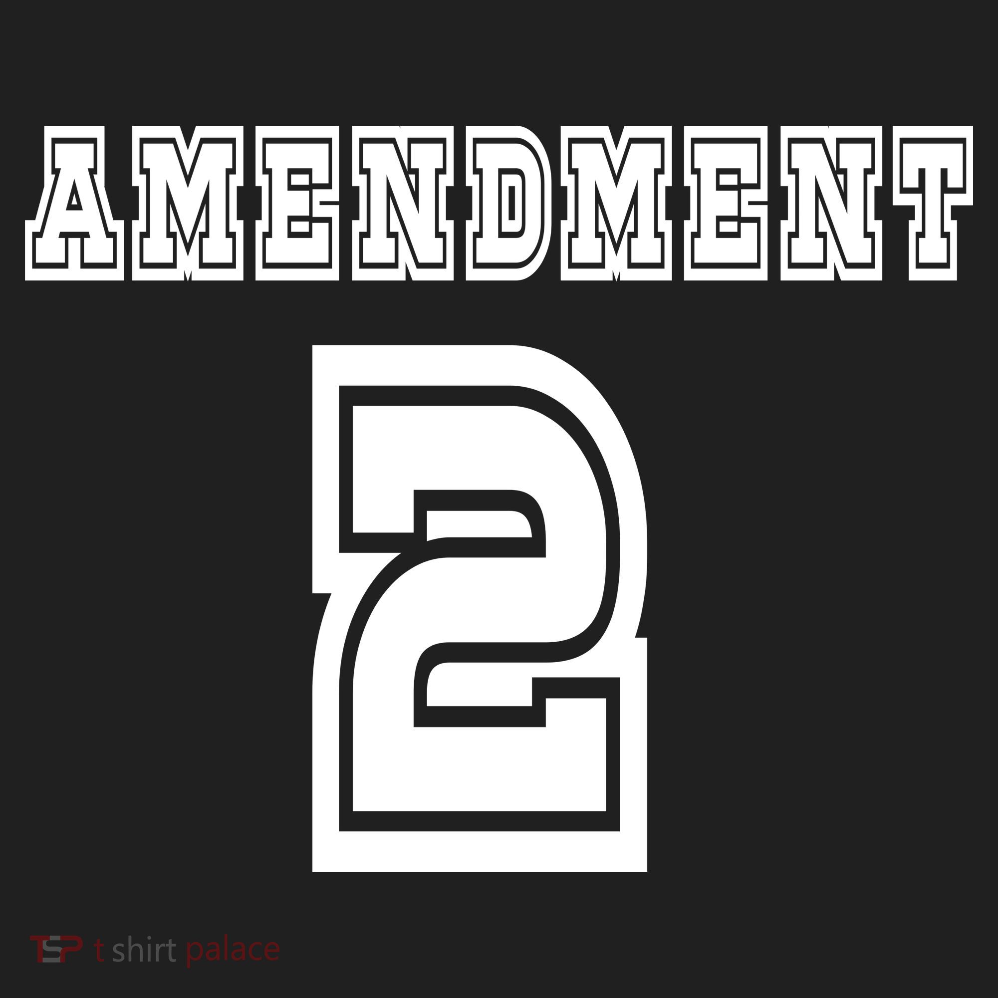 Amendment 2 Beanie