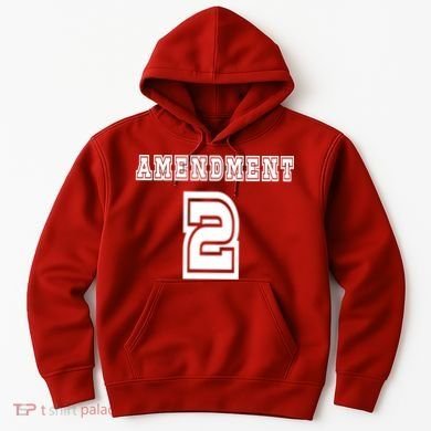 Amendment 2 Hoodie