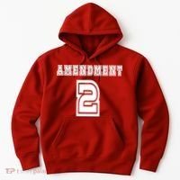Amendment 2 Hoodie thumb 0