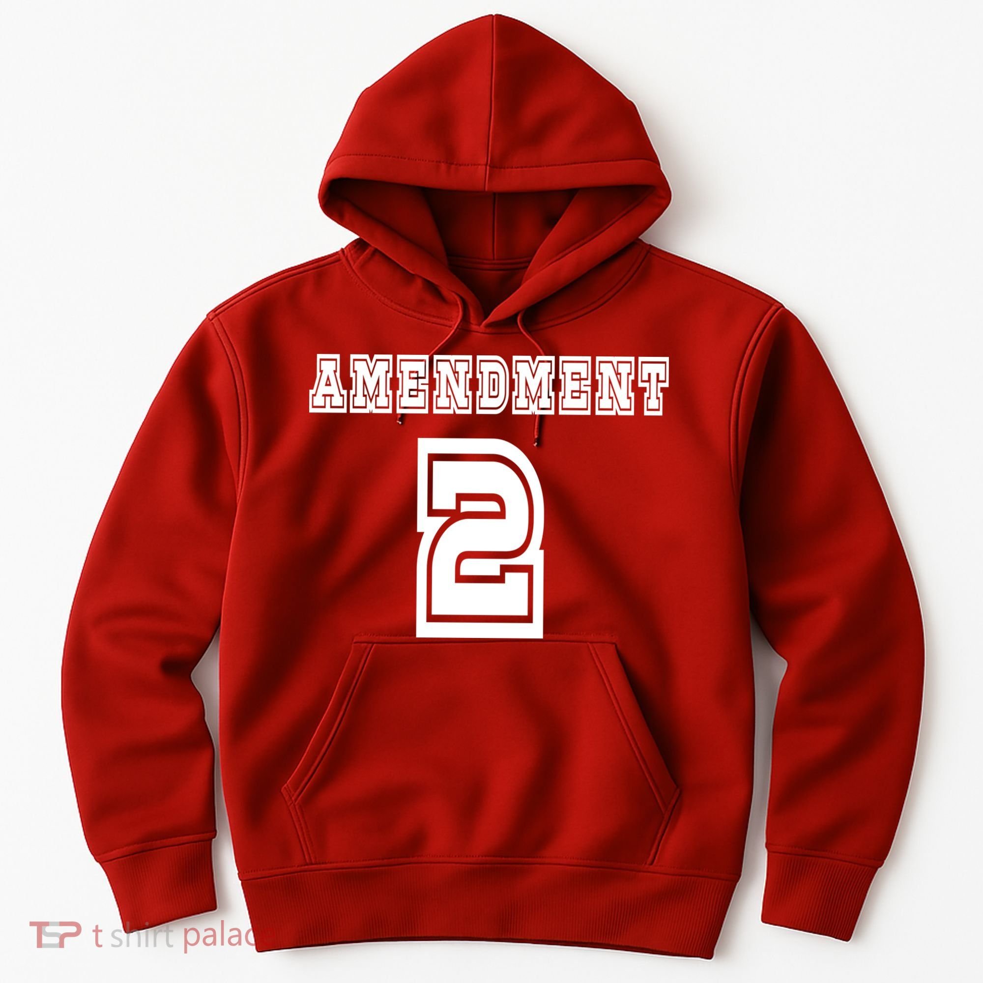 Amendment 2 Hoodie