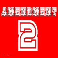 Amendment 2 Hoodie thumb 7