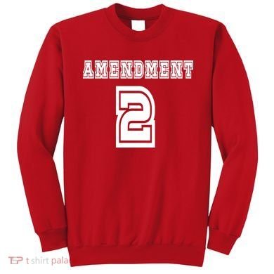 Amendment 2 Sweatshirt