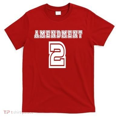 Amendment 2 T-Shirt