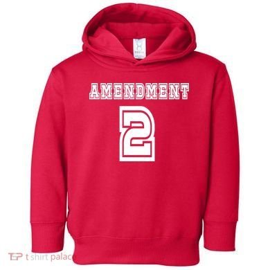 Amendment 2 Toddler Hoodie