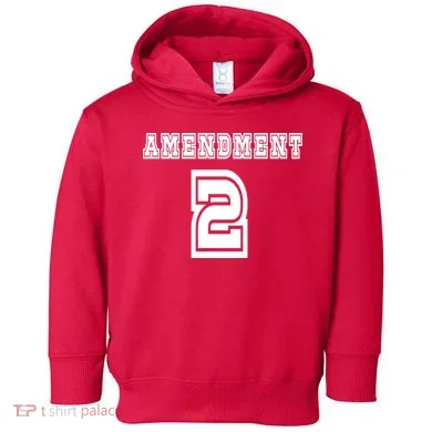 Amendment 2 Toddler Hoodie