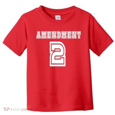 Amendment 2 Toddler T-Shirt