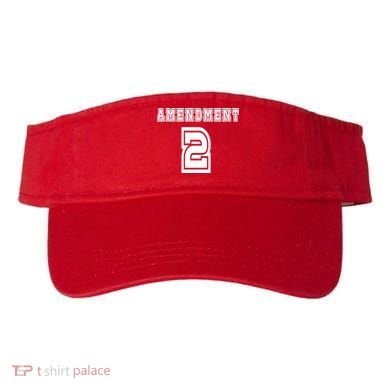 Amendment 2 Visor