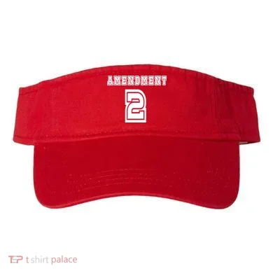 Amendment 2 Visor