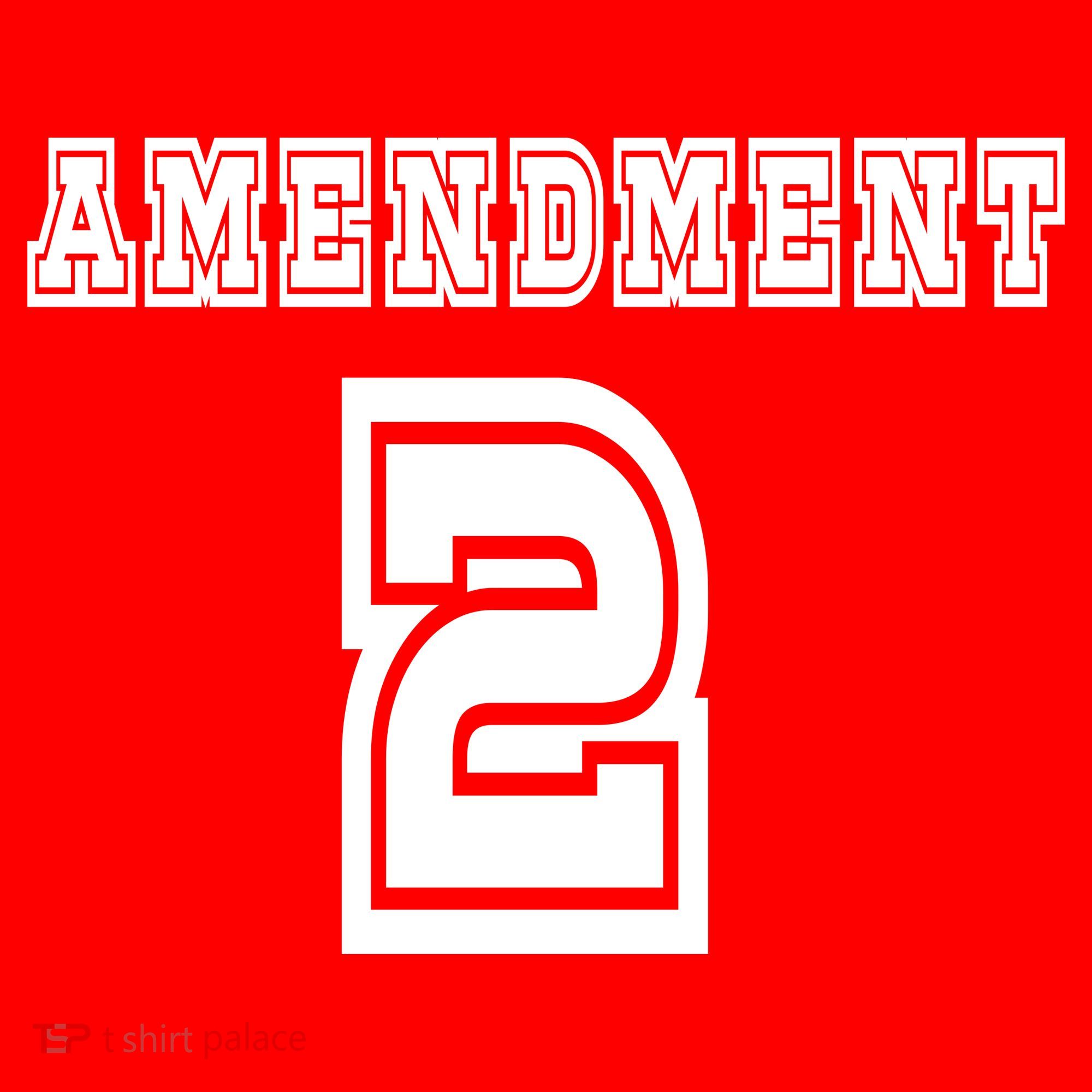 Amendment 2 Kids Sweatshirt