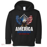 America's 250th Birthday Eagle Patriot Anniversary Toddler Hoodie thumb 0