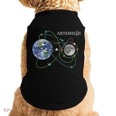 Artemis 2 Route Map SLS Moon Doggie Tank