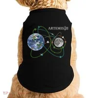 Artemis 2 Route Map SLS Moon Doggie Tank thumb 0