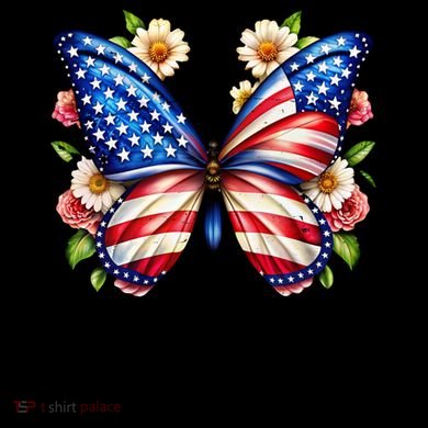 America 250 Years 1776-2026 250th Anniversary Butterfly  Kids Colorblock Raglan Jersey