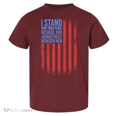 I stand for the flag because hero's lay beneath it. Toddler T-Shirt