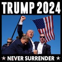 Assassination Attempt 2024 Never Surrender Trump Shot Ornament thumb 1
