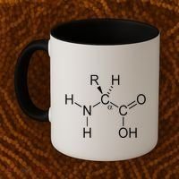 Alpha Amino Acid Biochemistry Muscle Protein Genetic Coffee Mug thumb 2