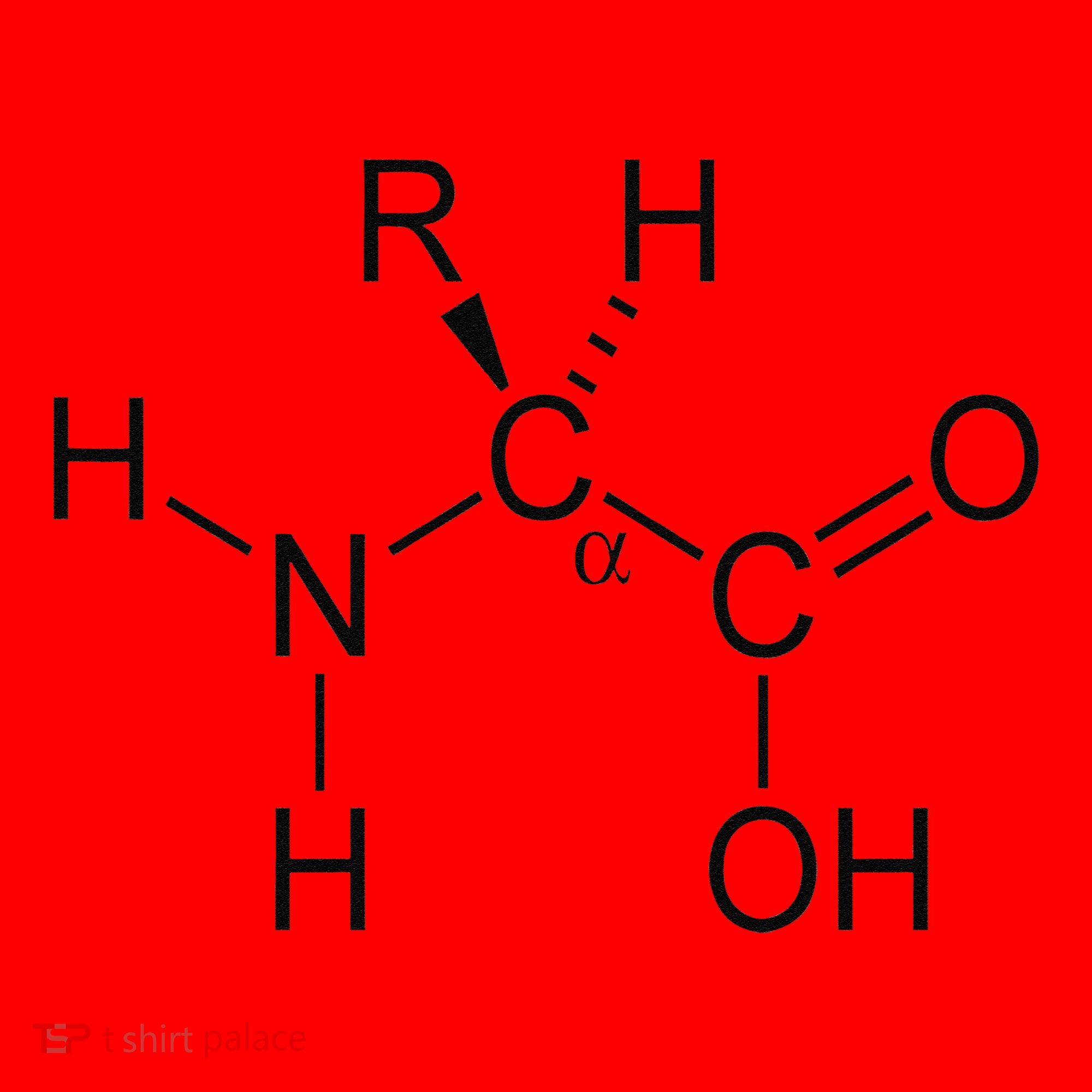 Alpha Amino Acid Biochemistry Muscle Protein Genetic Santa Hat