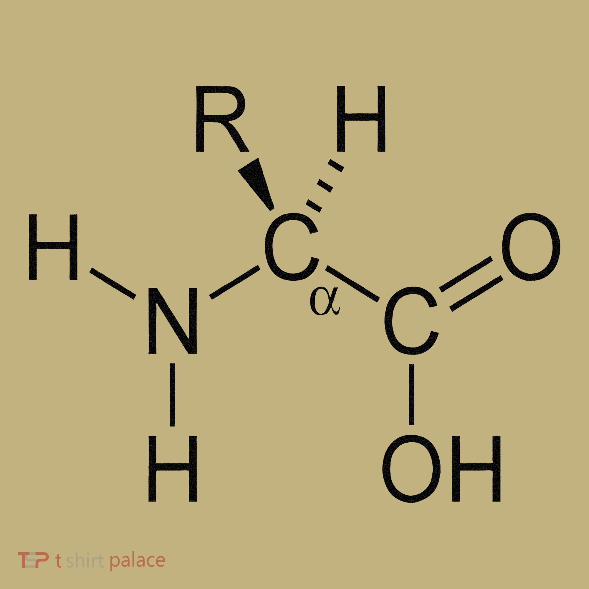 Alpha Amino Acid Biochemistry Muscle Protein Genetic Button