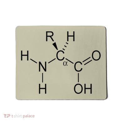 Alpha Amino Acid Biochemistry Muscle Protein Genetic Mousepad