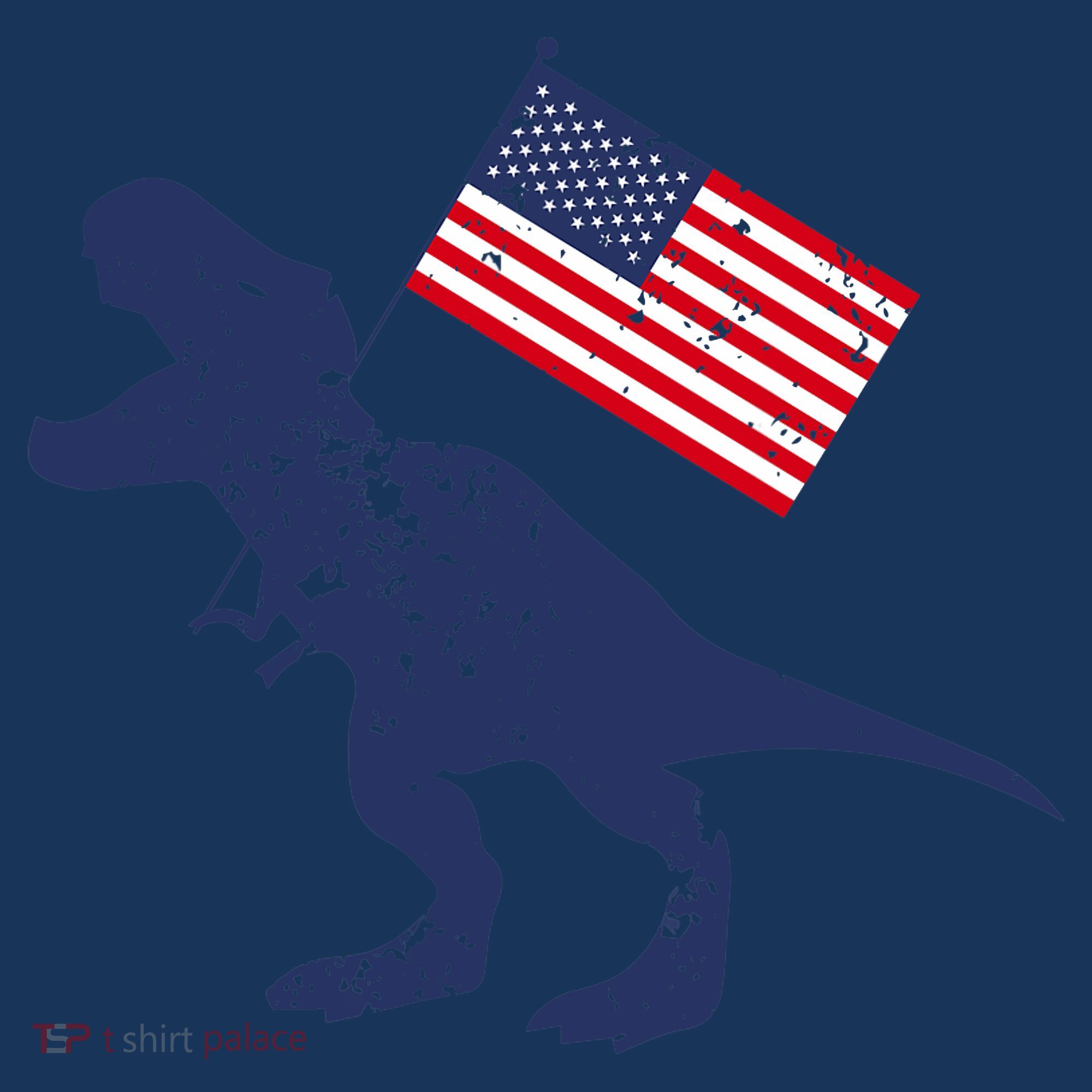 Awesome America American Dino Flag July 4th USA Dinosaur Women's Hoodie