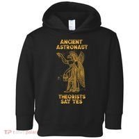 Anunnaki Ancient Astronaut Theorists Say Yes Sumerian Alien Toddler Hoodie thumb 0