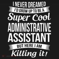 Administrative Assistant Admin Assistant Day Gift T-Shirt thumb 7