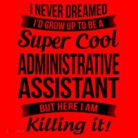 Administrative Assistant Admin Assistant Day Gift Santa Hat thumb 1