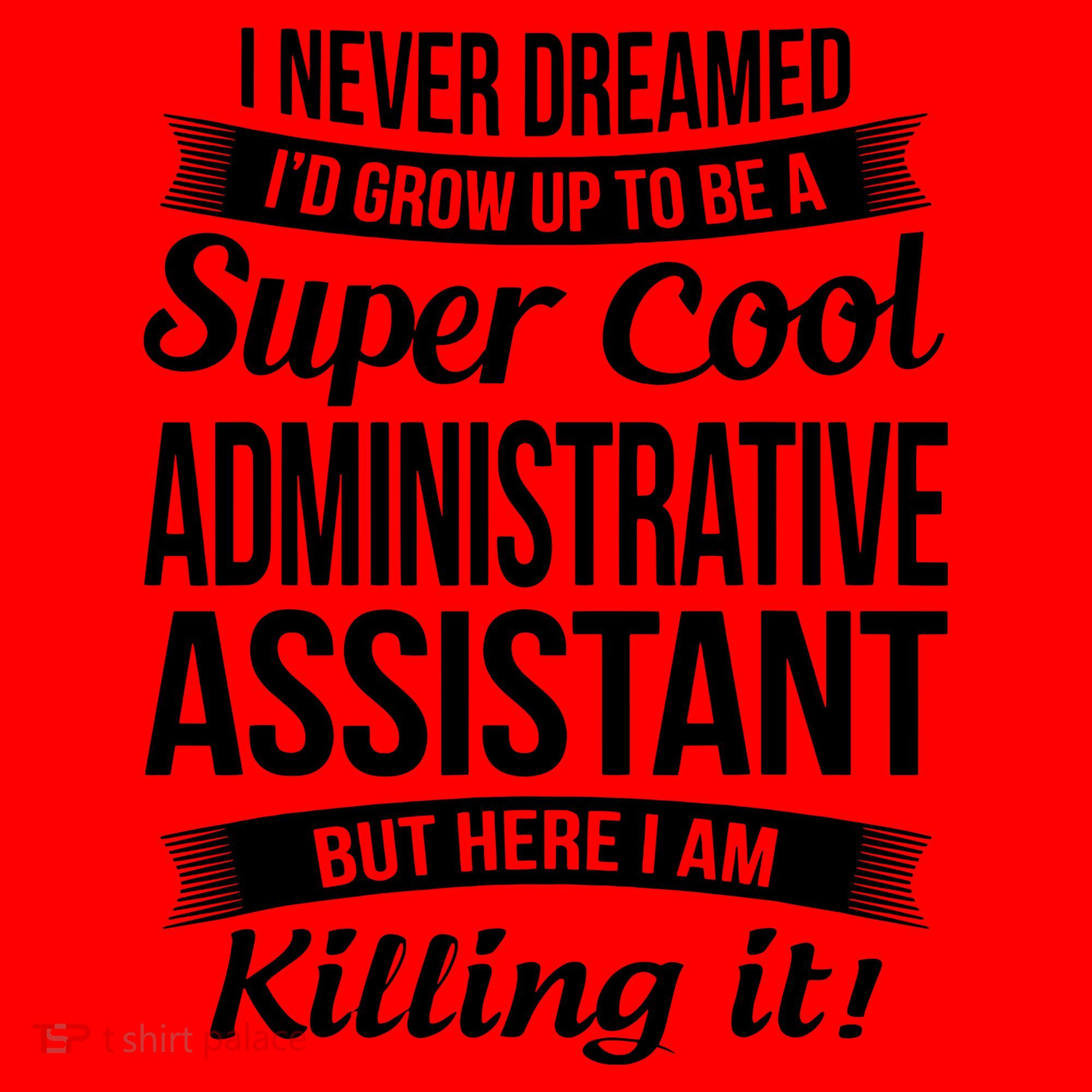 Administrative Assistant Admin Assistant Day Gift Santa Hat