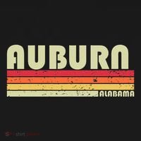 Auburn Al Alabama Funny City Home Roots Gift Retro 70s 80s Hoodie thumb 2