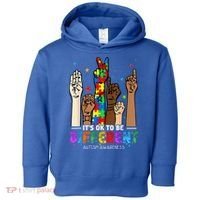 Autism Awareness Acceptance Wo Kid Its Ok To Be Different Toddler Hoodie thumb 0