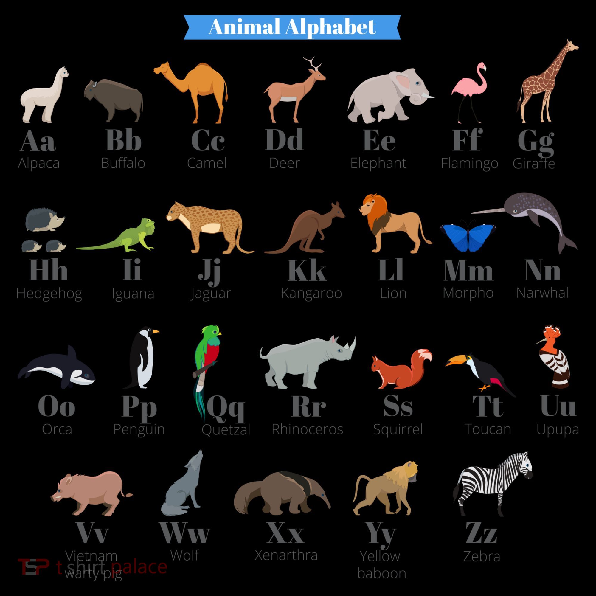 Animal Alphabet Coffee Mug