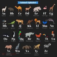 Animal Alphabet Beanie thumb 2