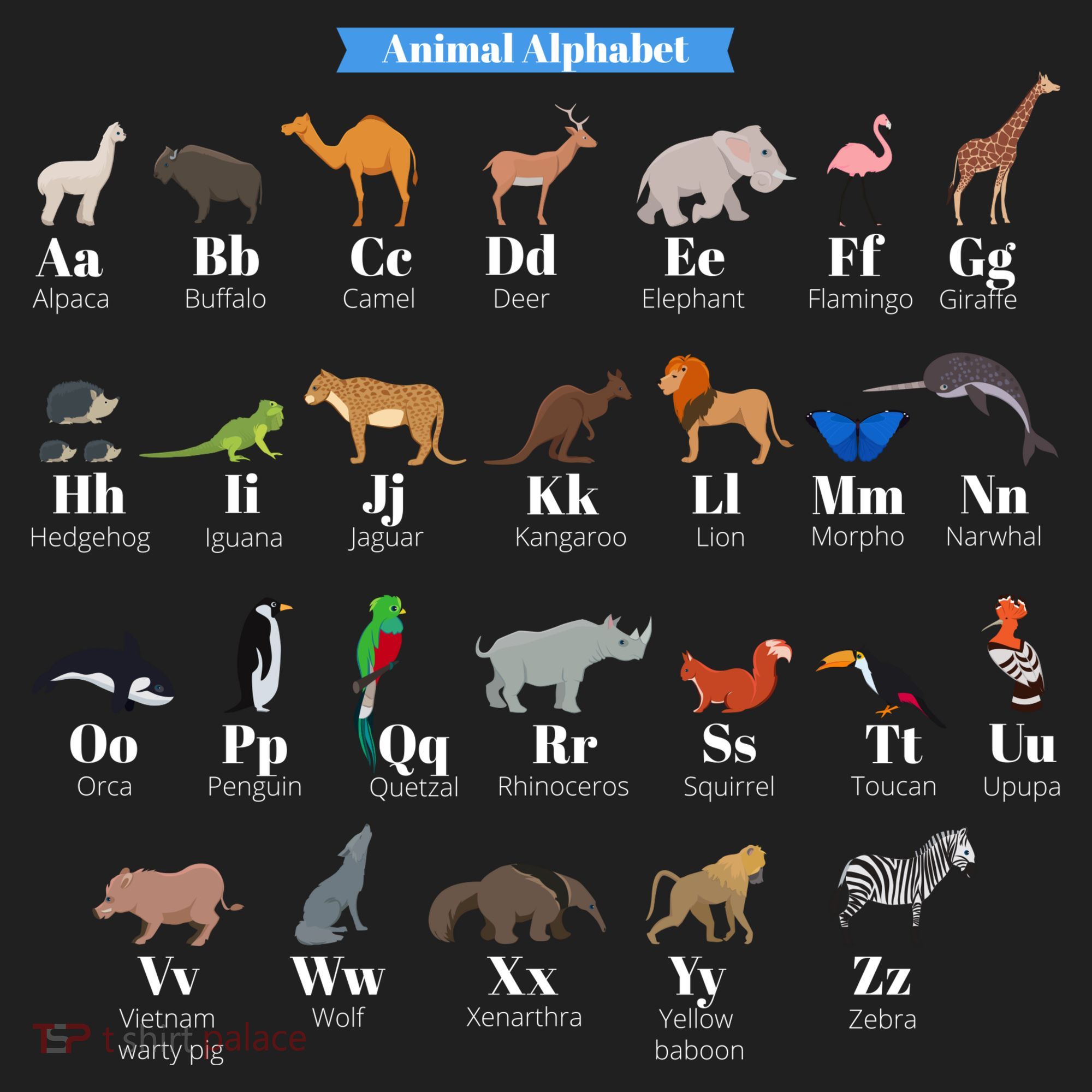 Animal Alphabet Beanie