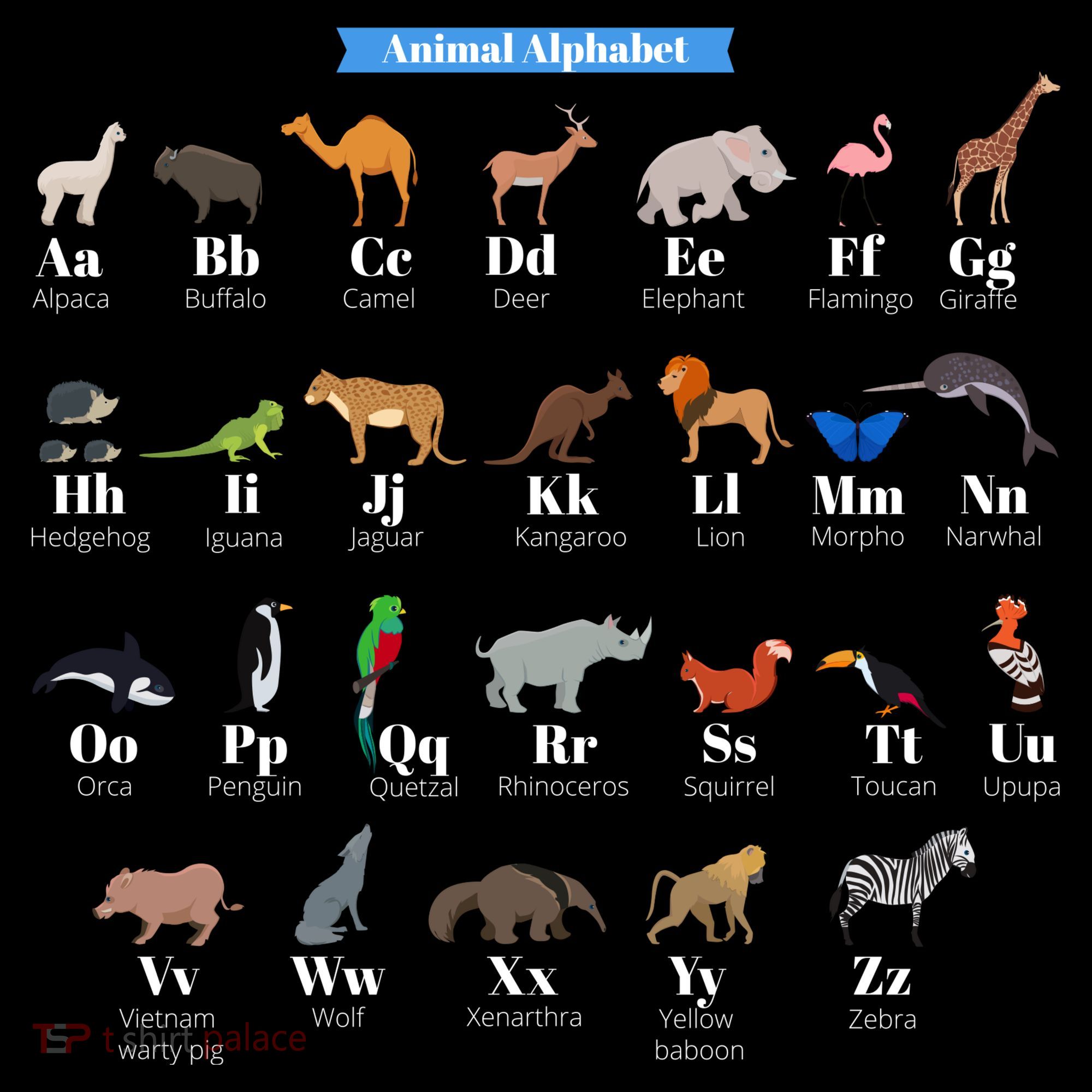 Animal Alphabet Women's Hoodie
