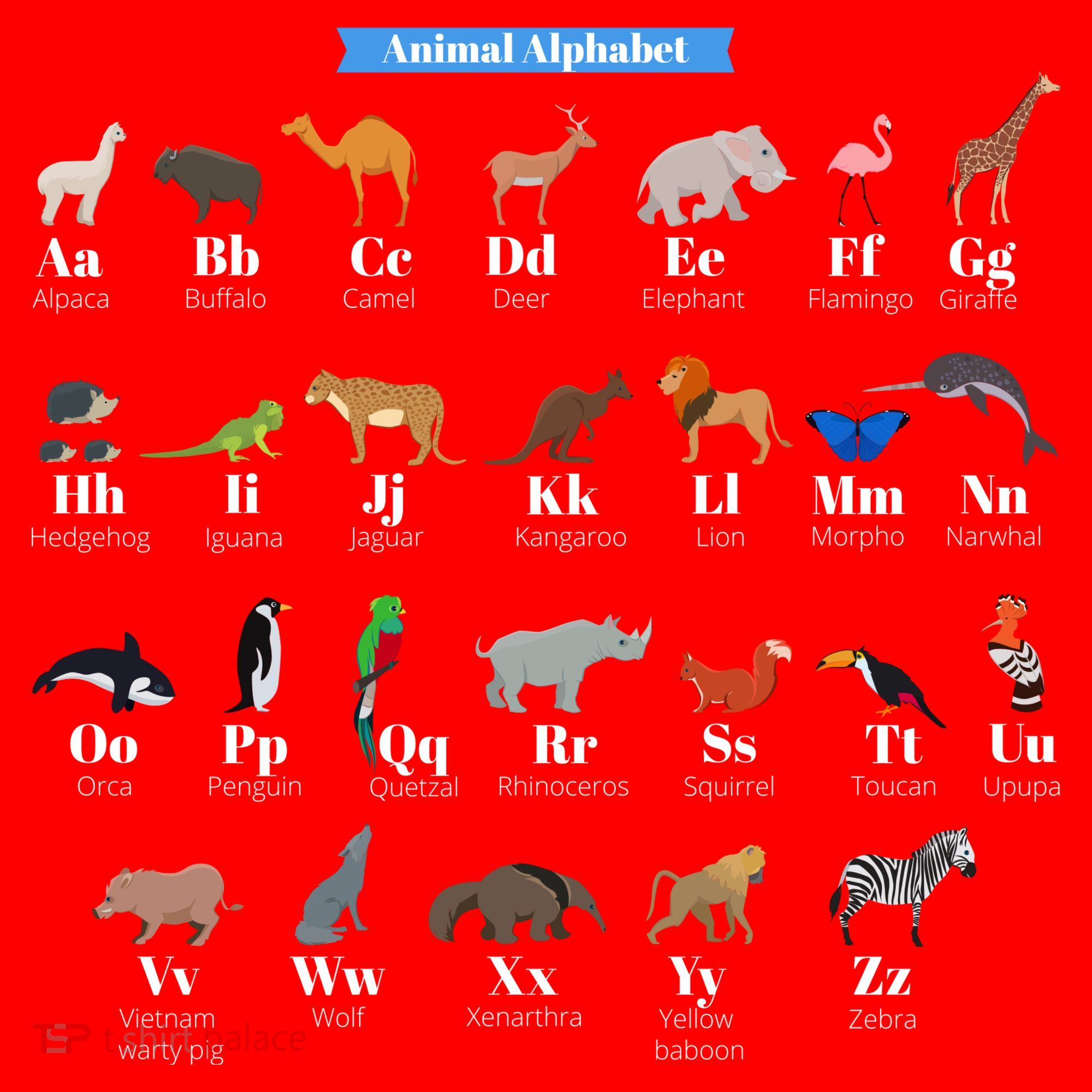 Animal Alphabet Apron