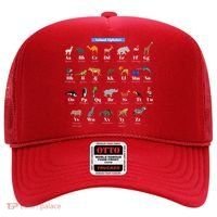 Animal Alphabet Hat thumb 0