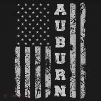 Auburn Alabama American Flag Toddler Hoodie thumb 2
