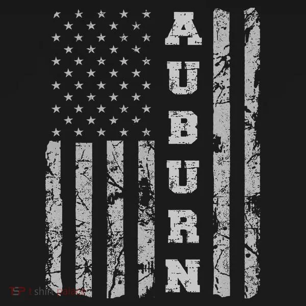 Auburn Alabama American Flag Toddler Hoodie