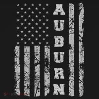 Auburn Alabama American Flag Toddler T-Shirt thumb 4