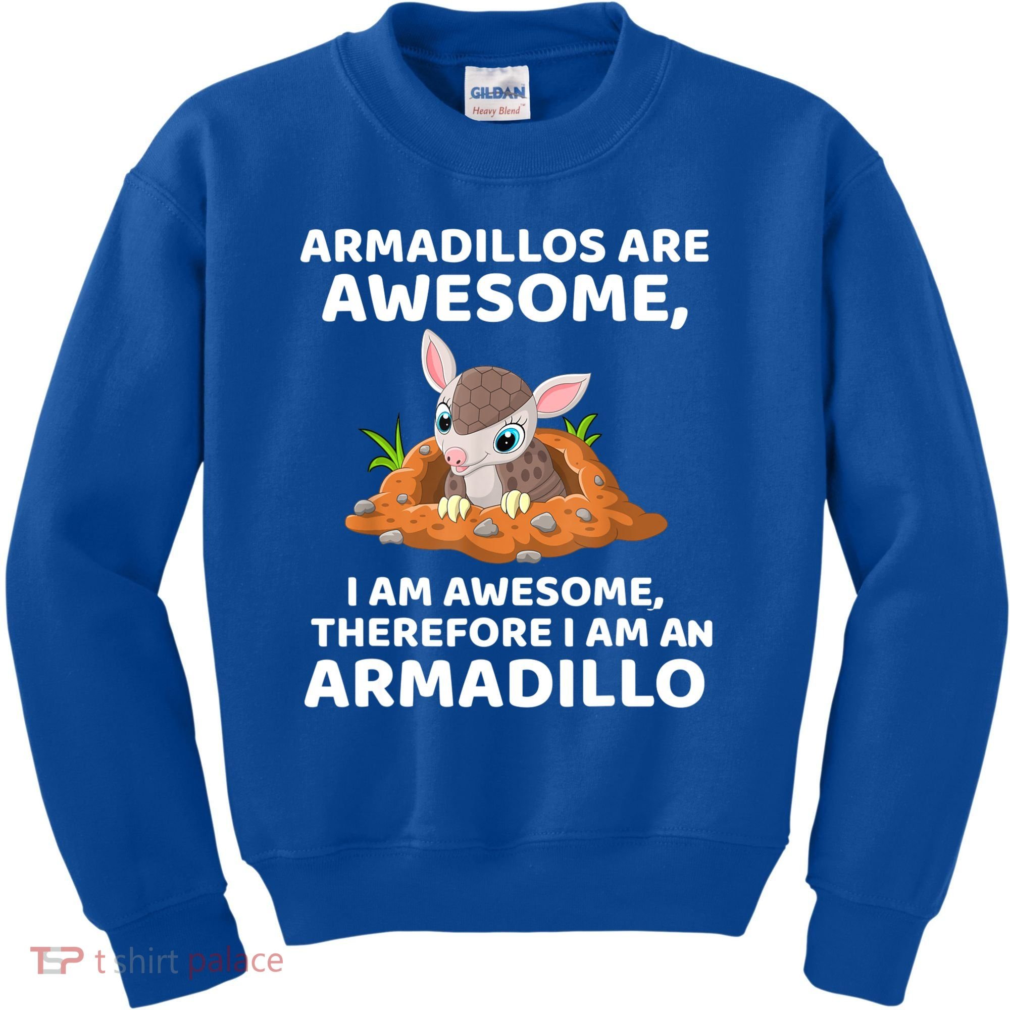 Armadillo's Are Awesome, Therefore I Am An Armadillo Kids Sweatshirt