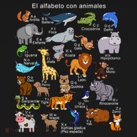 Animals Alphabet Agiftz Abc Of The Animal World Gift Bucket Hat thumb 4