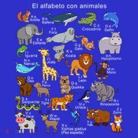 Animals Alphabet Agiftz Abc Of The Animal World Gift Women's Tank Top thumb 5