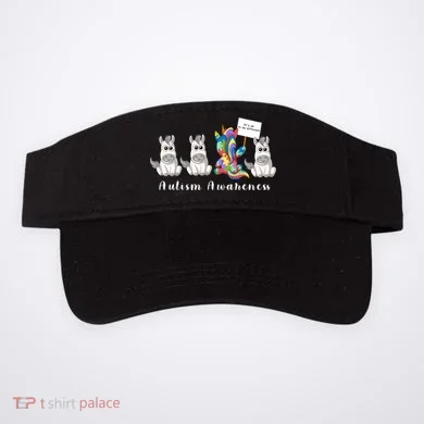 Visor