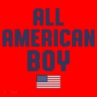All American Boy USA Flag Santa Hat thumb 1