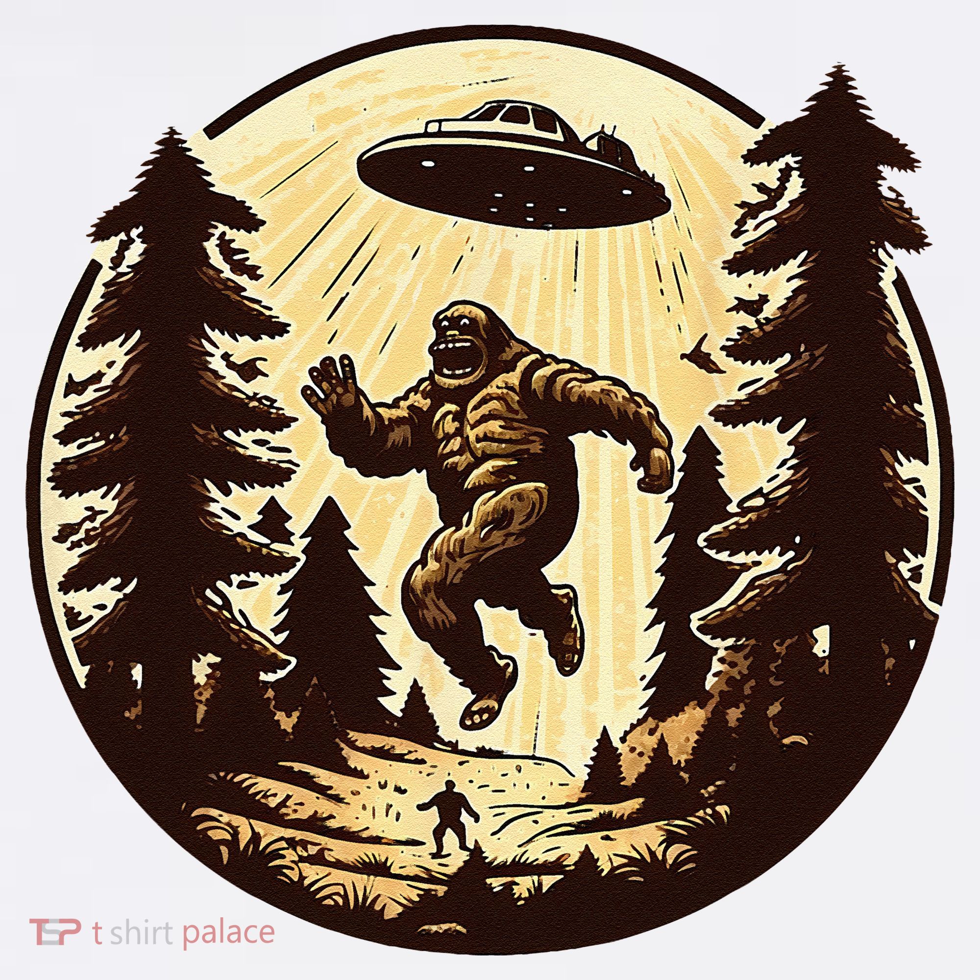 Alien And Bigfoot UFO Bigfoot Alien T-Shirt