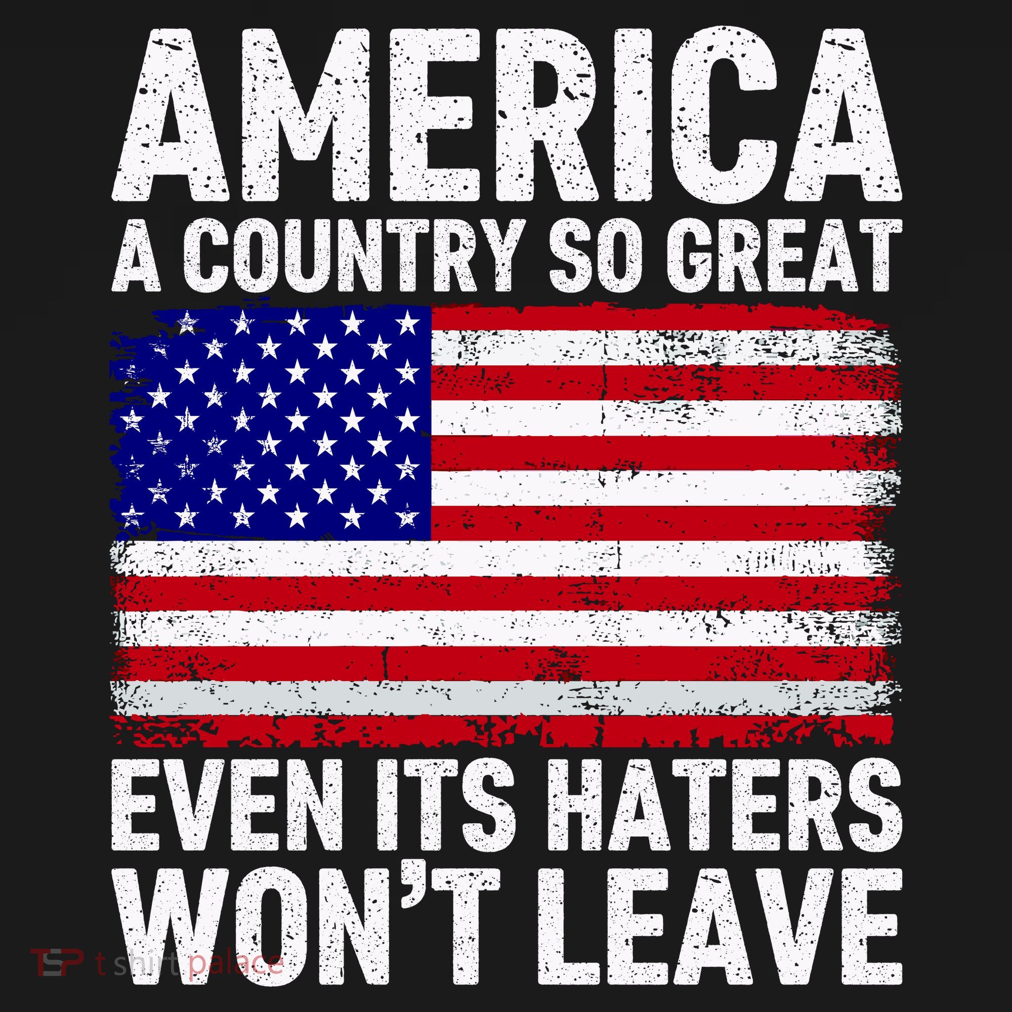 America A Country So Great Even Its Haters WonT Leave Ornament